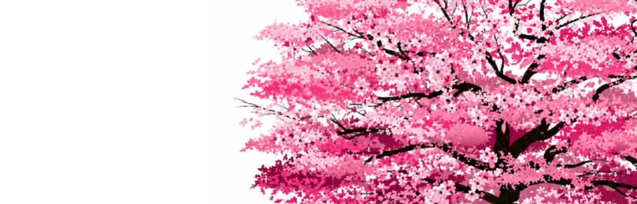 Comic Banner