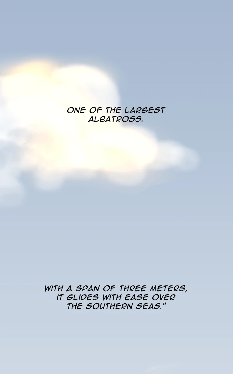 Albatross, page 17