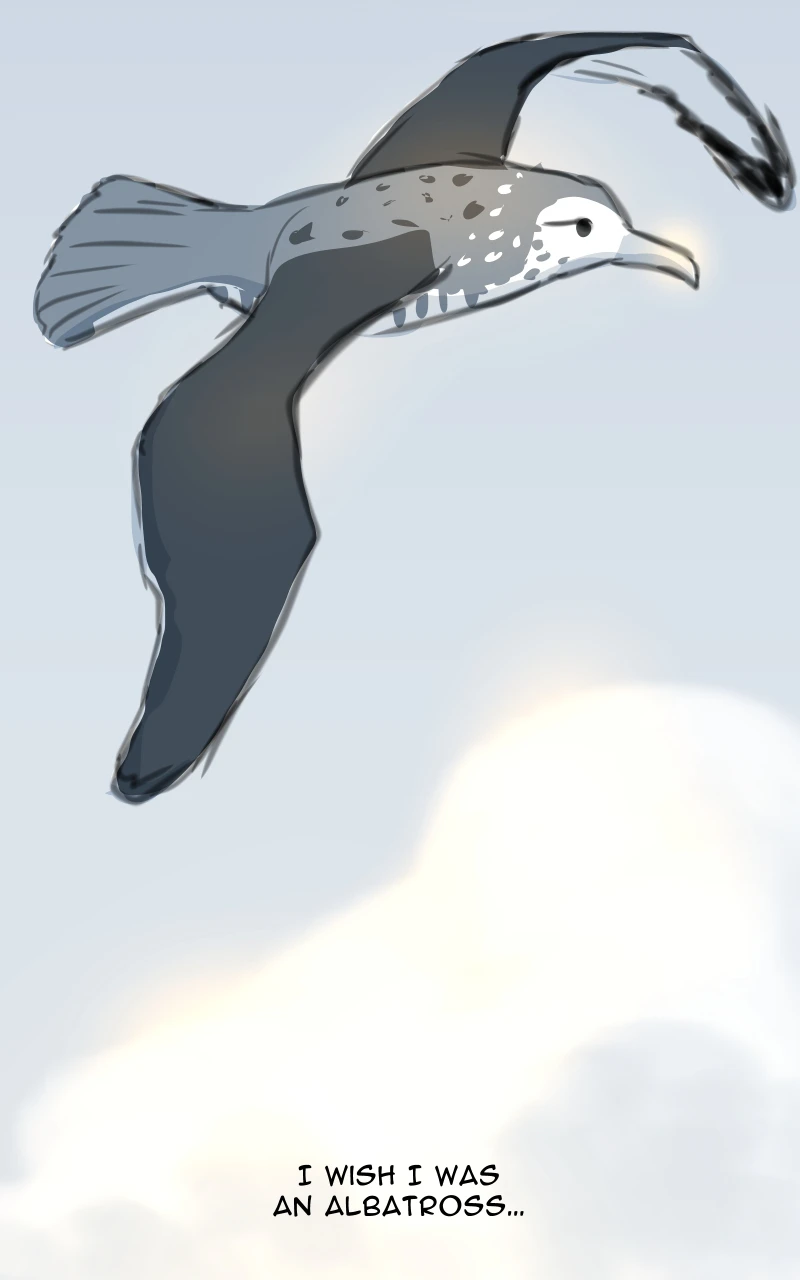 Albatross, page 18