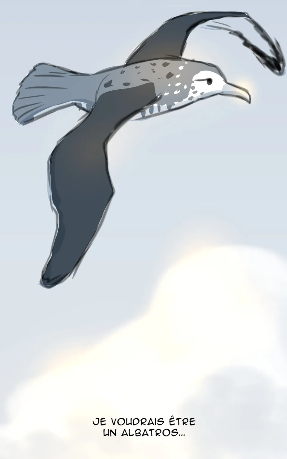 Albatros, page 1