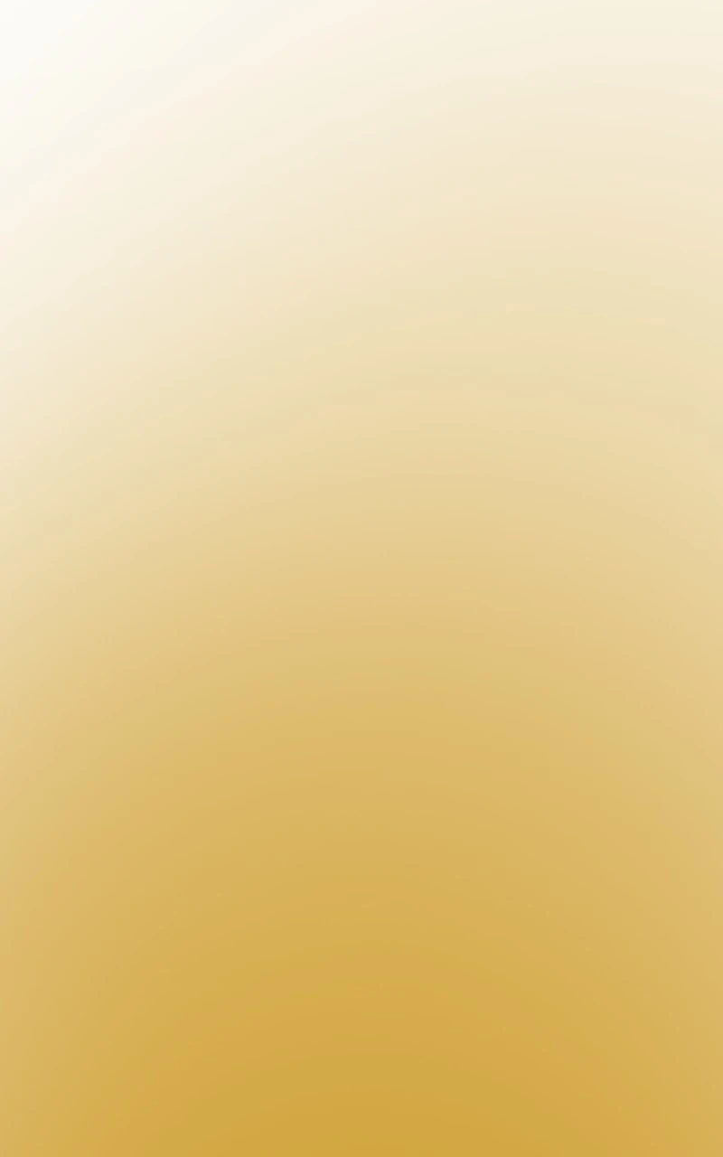 "Incitación""，第 6 頁