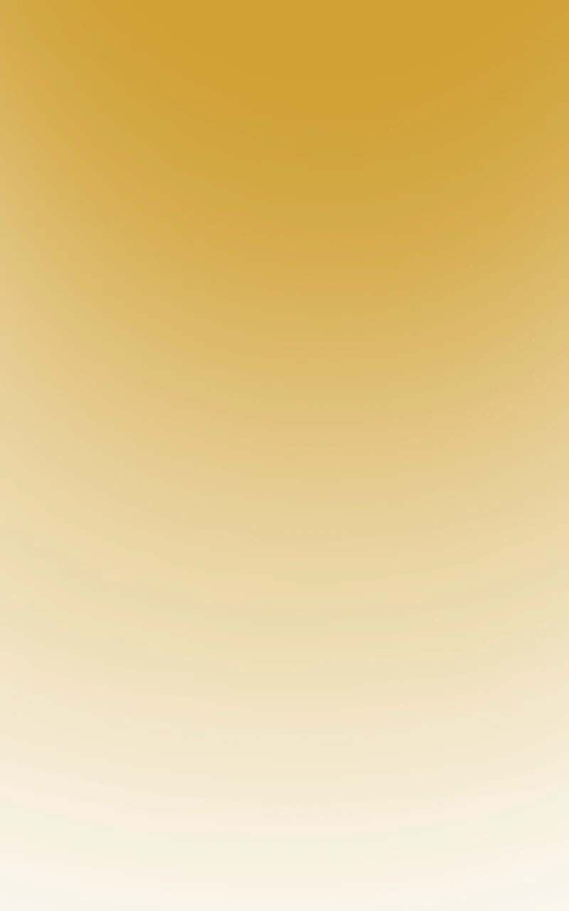 "Incitación""，第 8 頁