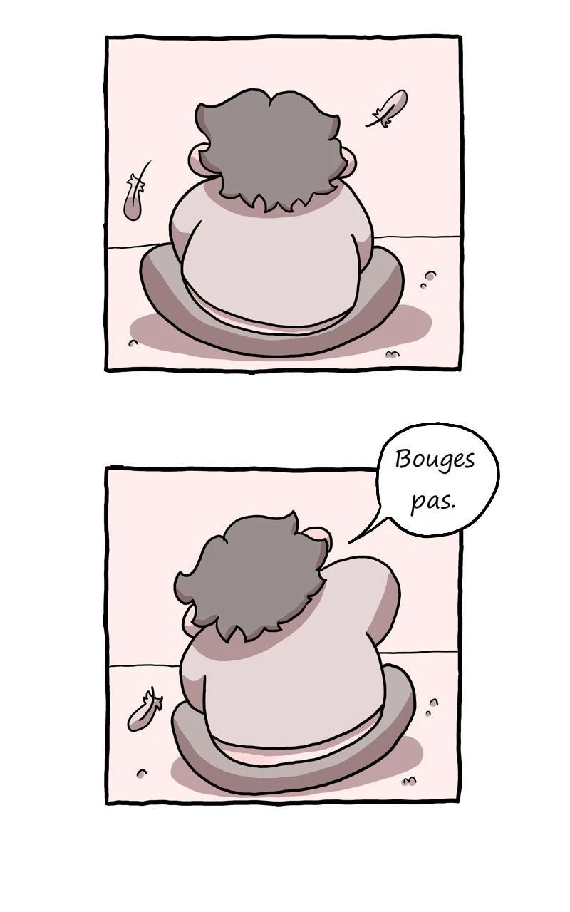 Pigeon voyageur.，第 1 頁