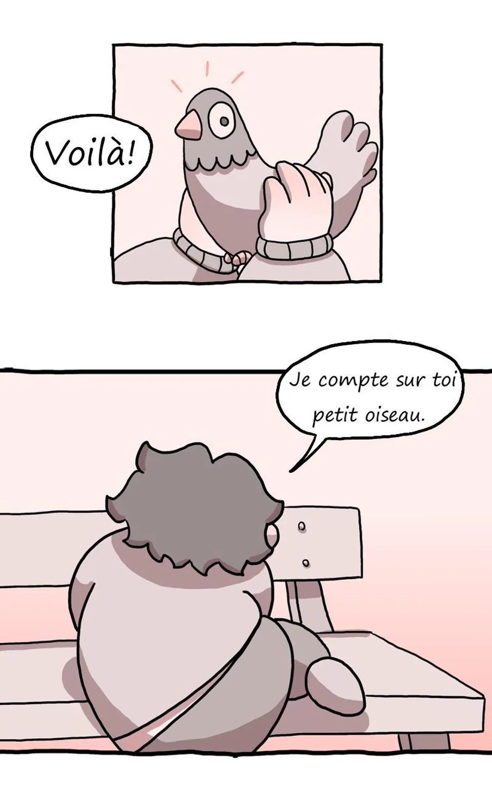 Pigeon voyageur., page 2