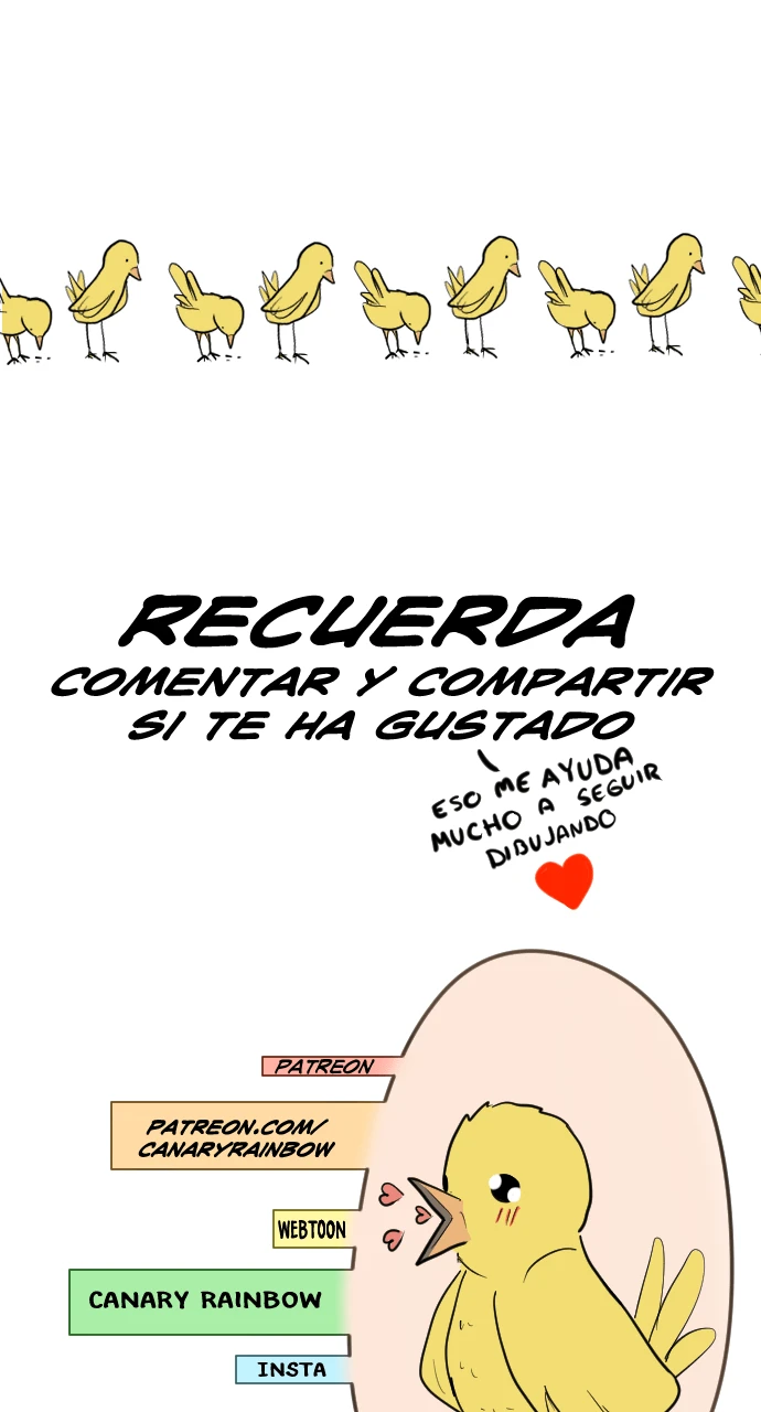 8.0( 2 parte), page 13