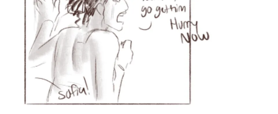 17, page 13