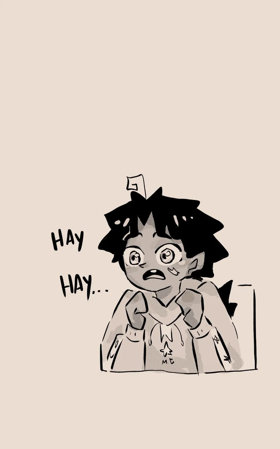 (6) Mailove, page 22