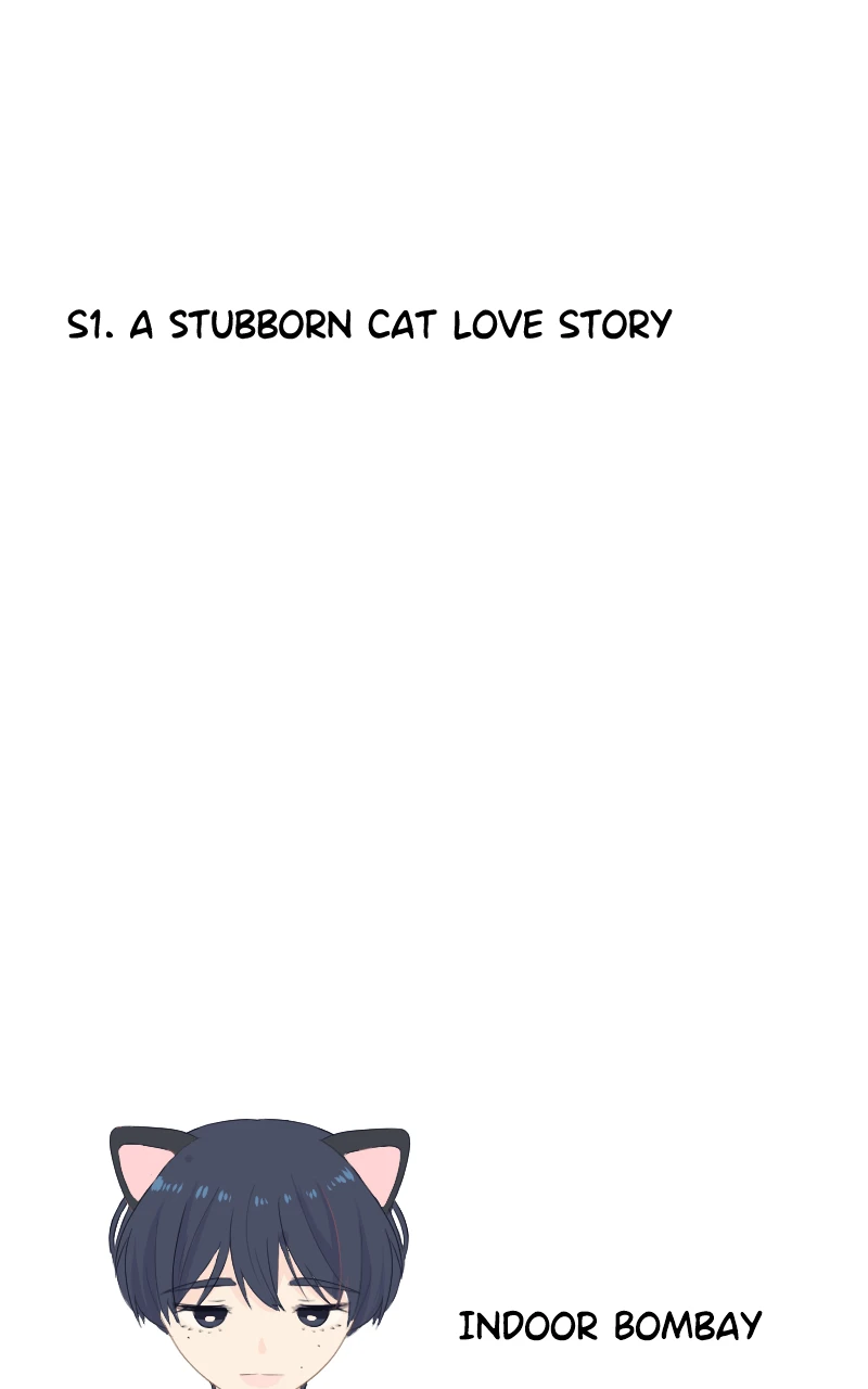 Special Episode 1 - A Stubborn Cat Love Story, Seite 0