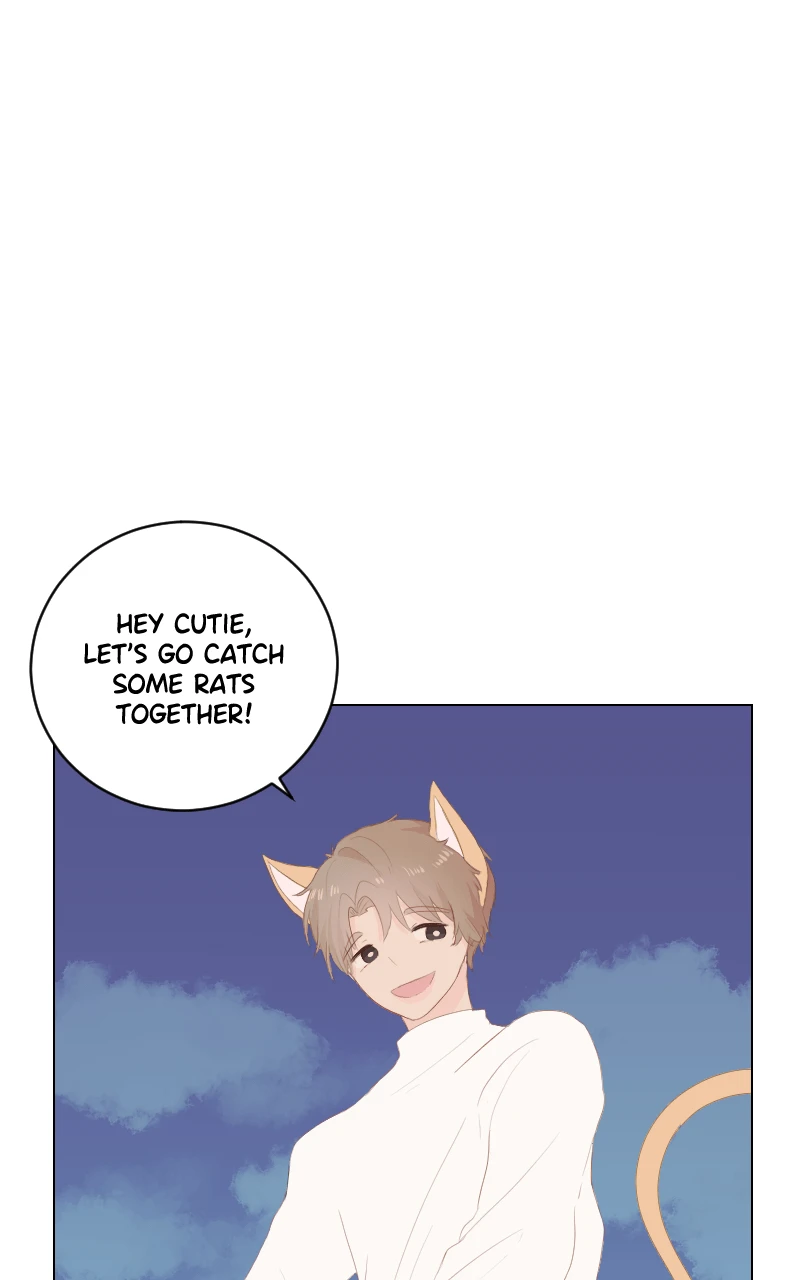 Special Episode 1 - A Stubborn Cat Love Story, Seite 2