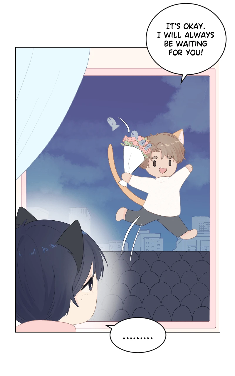 Special Episode 1 - A Stubborn Cat Love Story, Seite 6