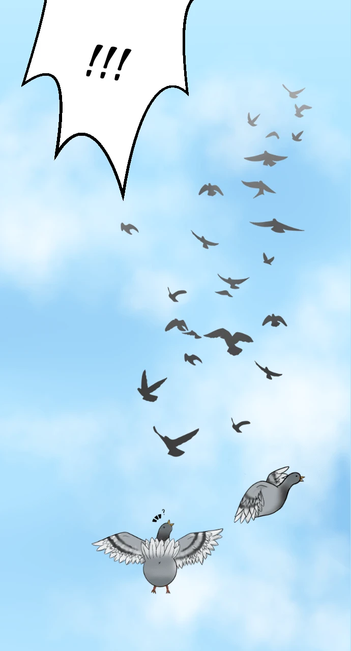 Chapitre 1-1, página 21