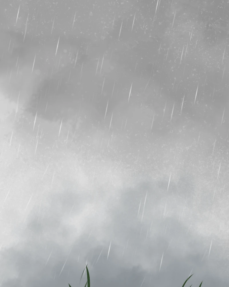Chapter 2.4 - Dry Your Eyes, página 13
