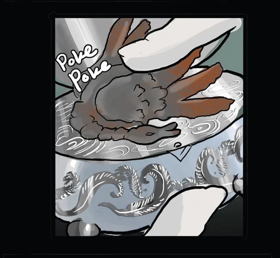 Collecting Habit, page 5