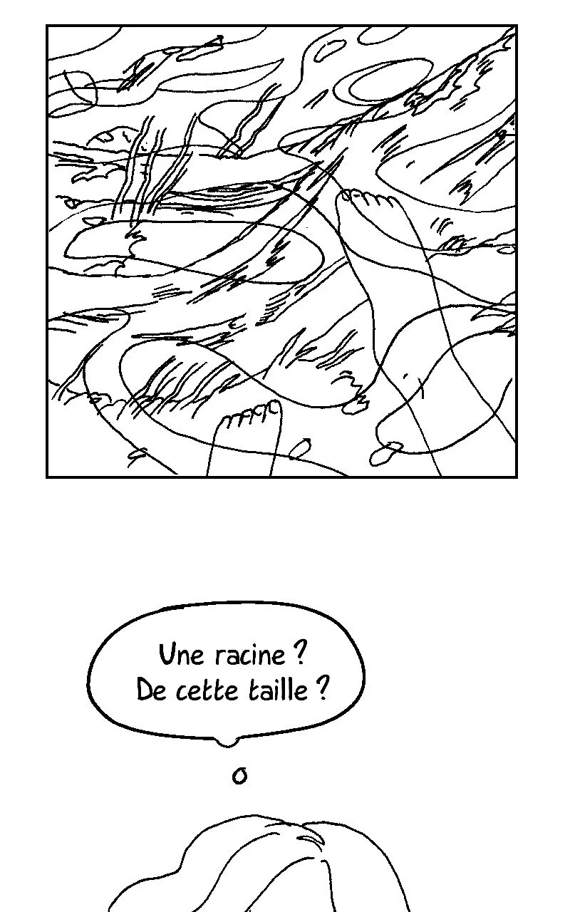 Rosa caeli, página 47