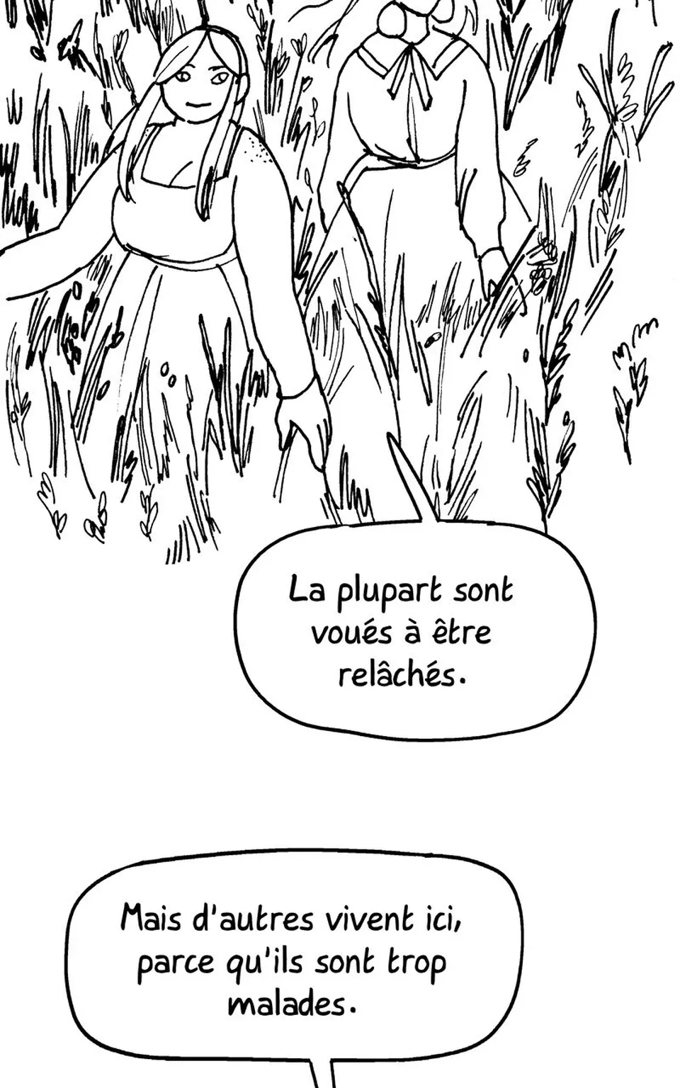 Artemisia absinthium, page 28