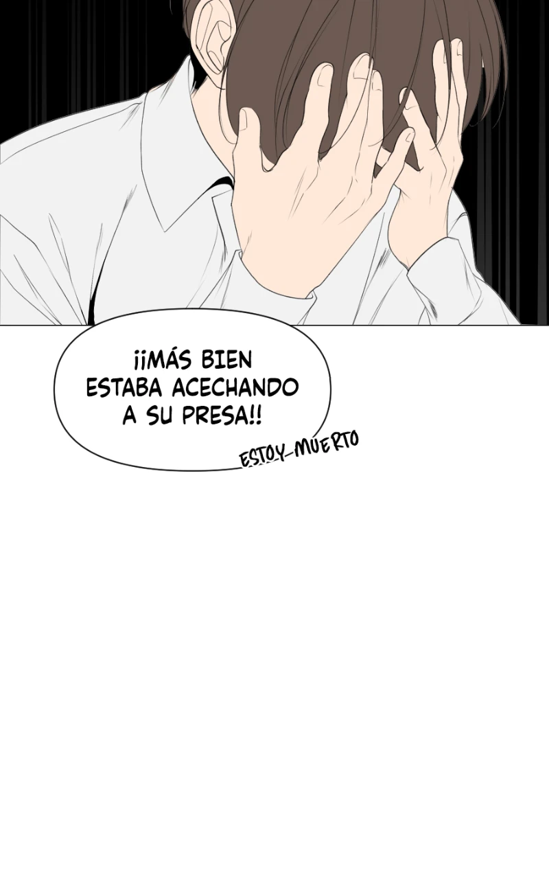 Capítulo 13，第 48 頁