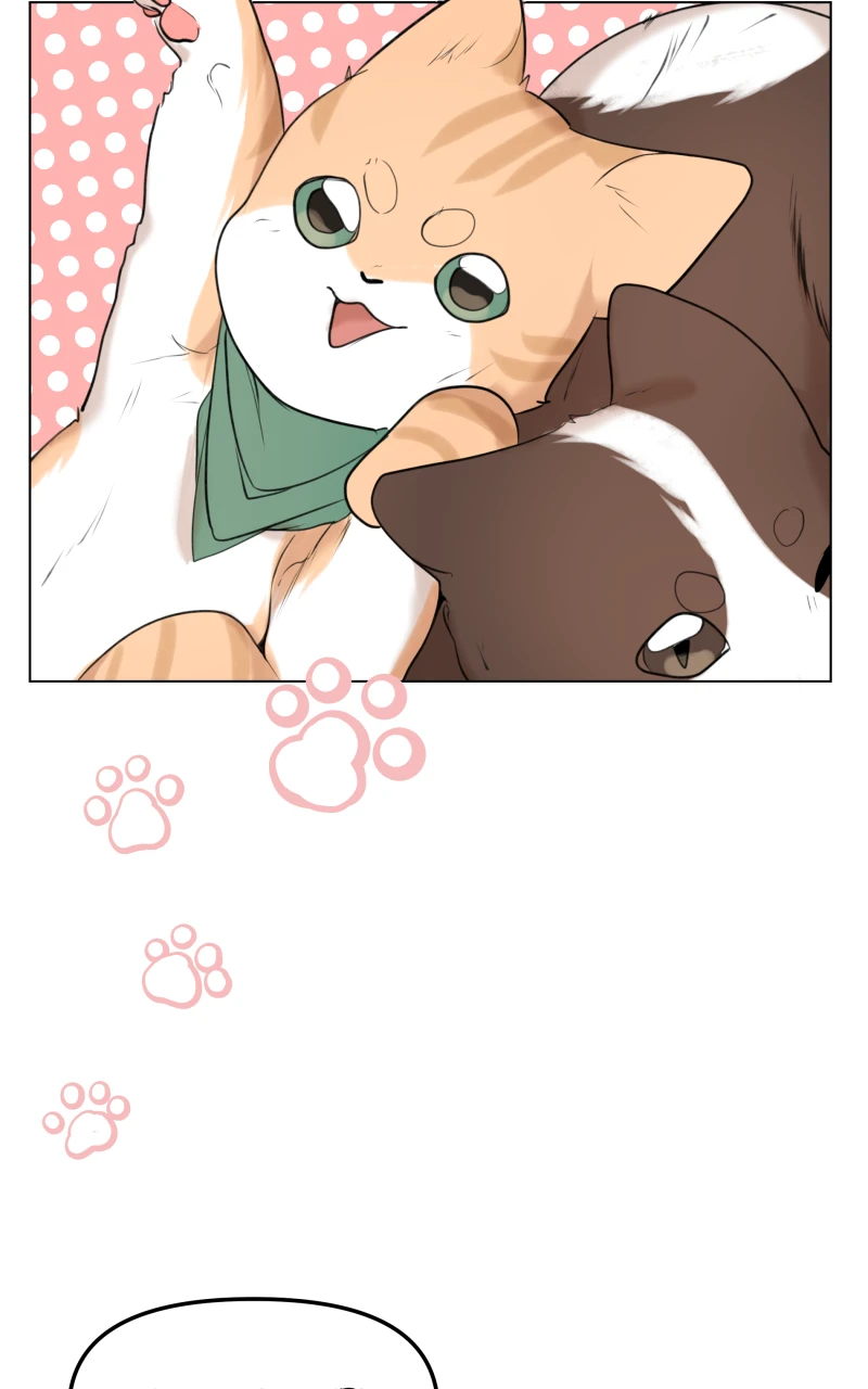 Capitulo 10，第 19 頁