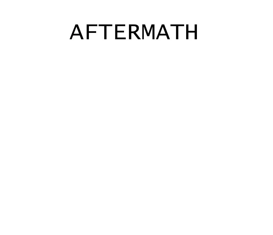Chapter 1 - Aftermath, página 3