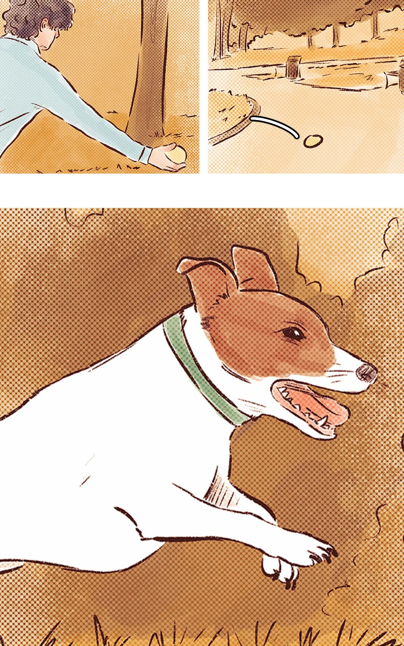 ch.11，第 5 頁