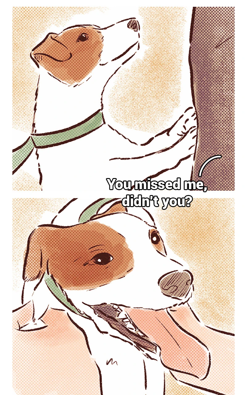 ch.16，第 5 頁