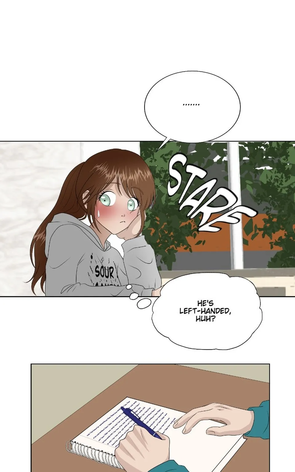 Chapter 2, page 20