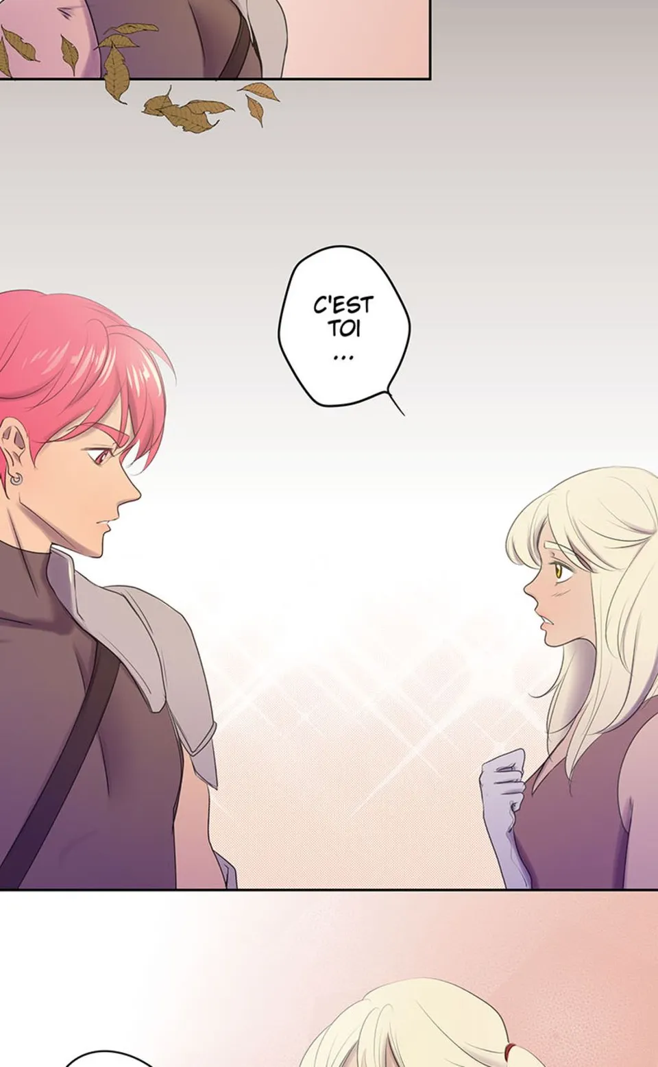 Chapitre 2, page 13