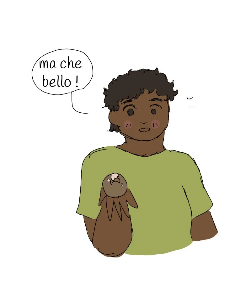 3 - il pane, página 46