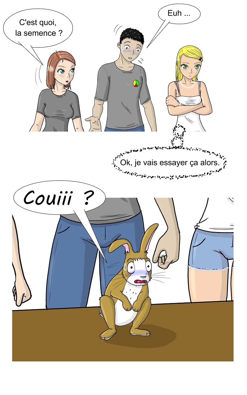 13 - Le Transformateur, page 11