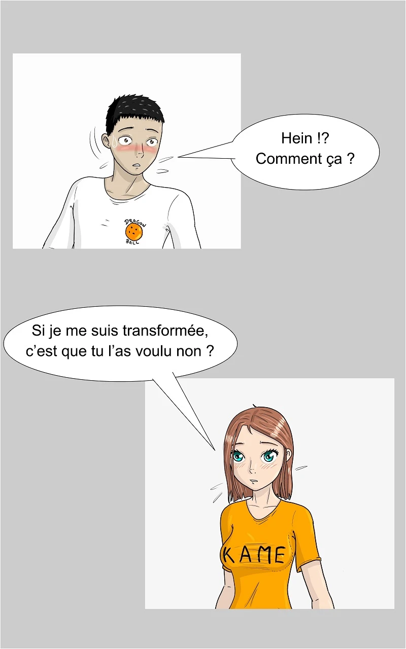 13 - Le Transformateur, page 20