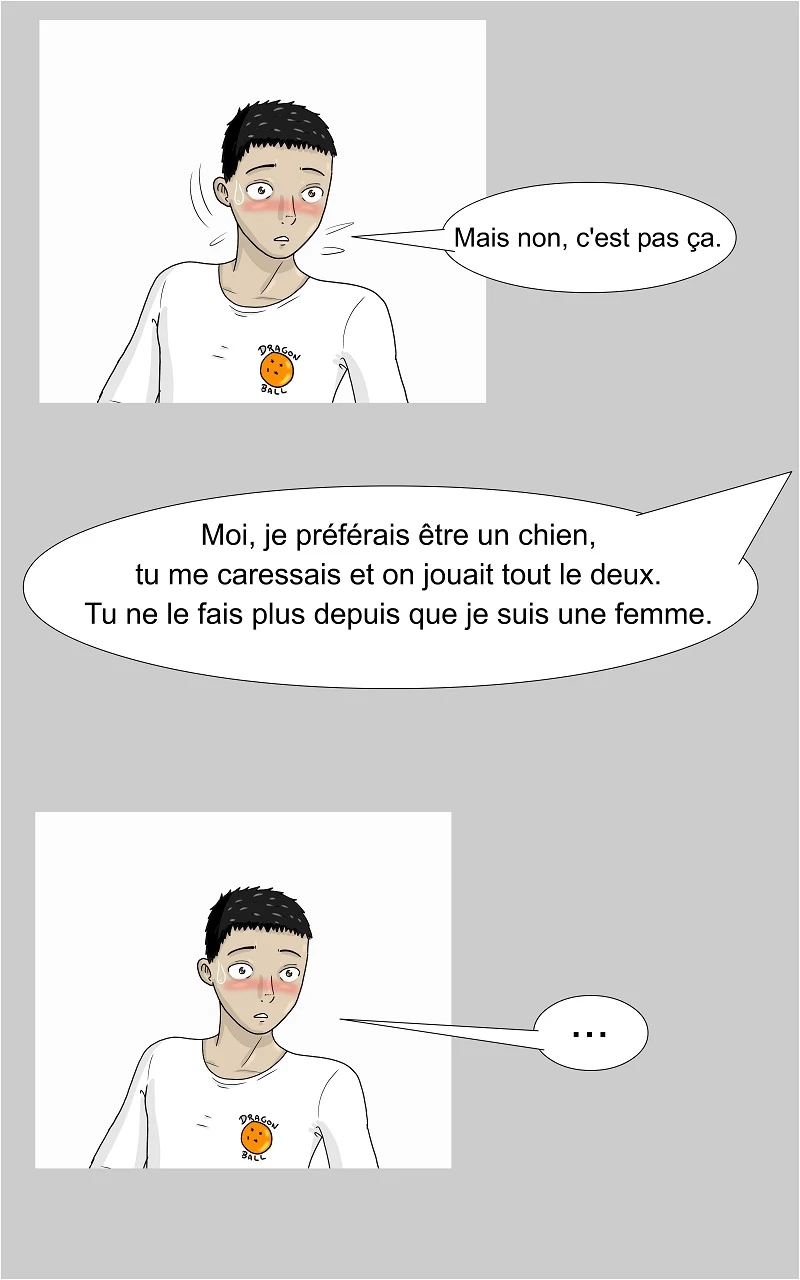 13 - Le Transformateur, page 22