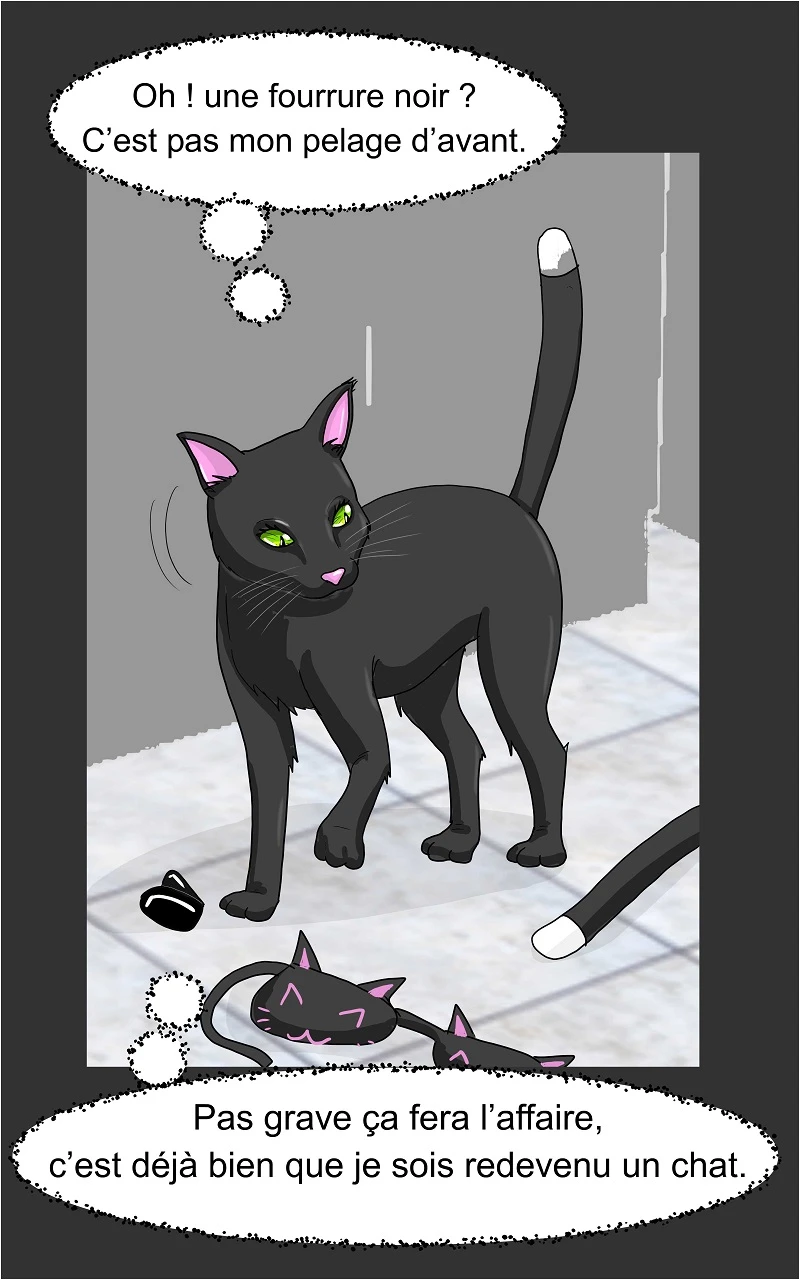 14 - Chats, page 20
