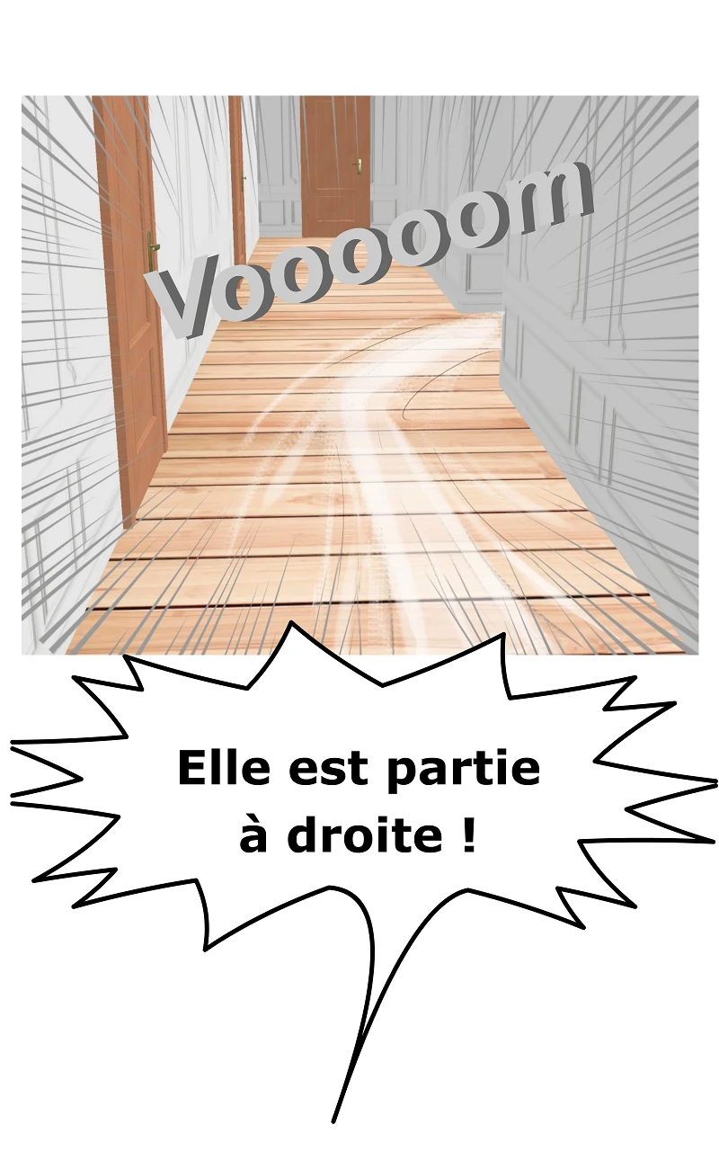 2 - 6 - Pièges, page 12