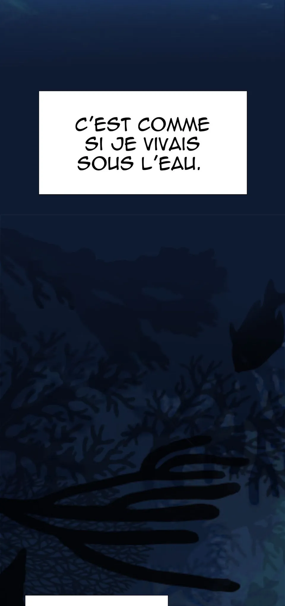 Chapitre 1, page 13