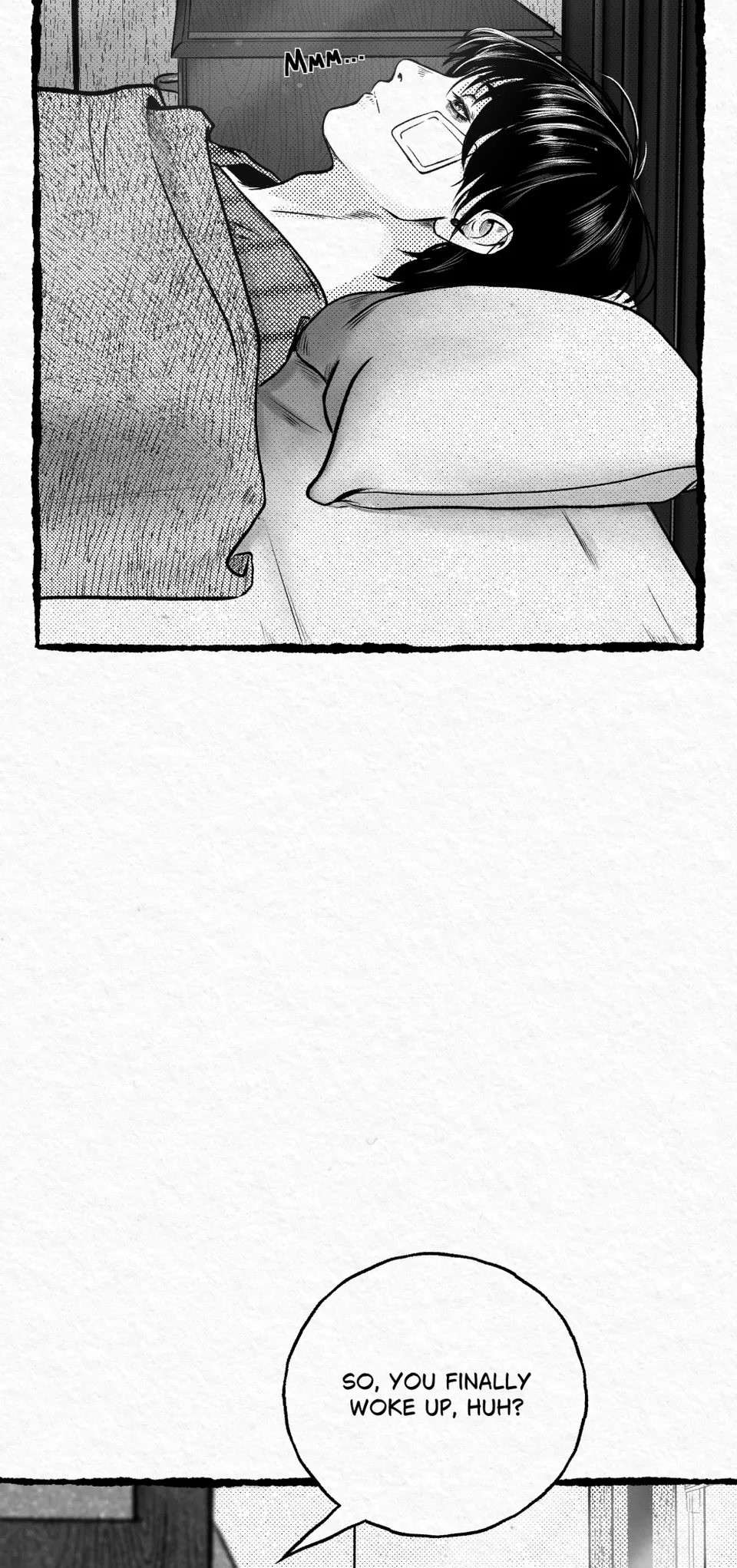 3.1, page 5