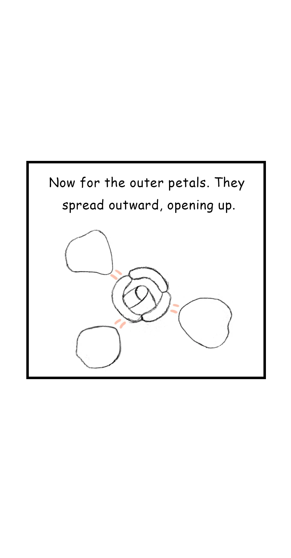 112. ◆Sketching a Rose，第 4 頁