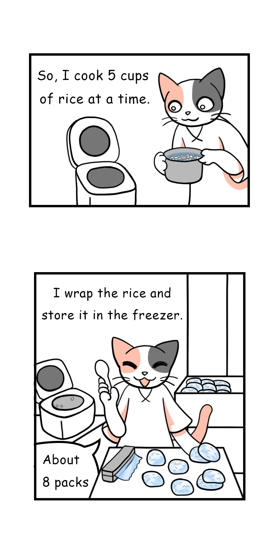 38. Rice Wrapping，第 3 頁