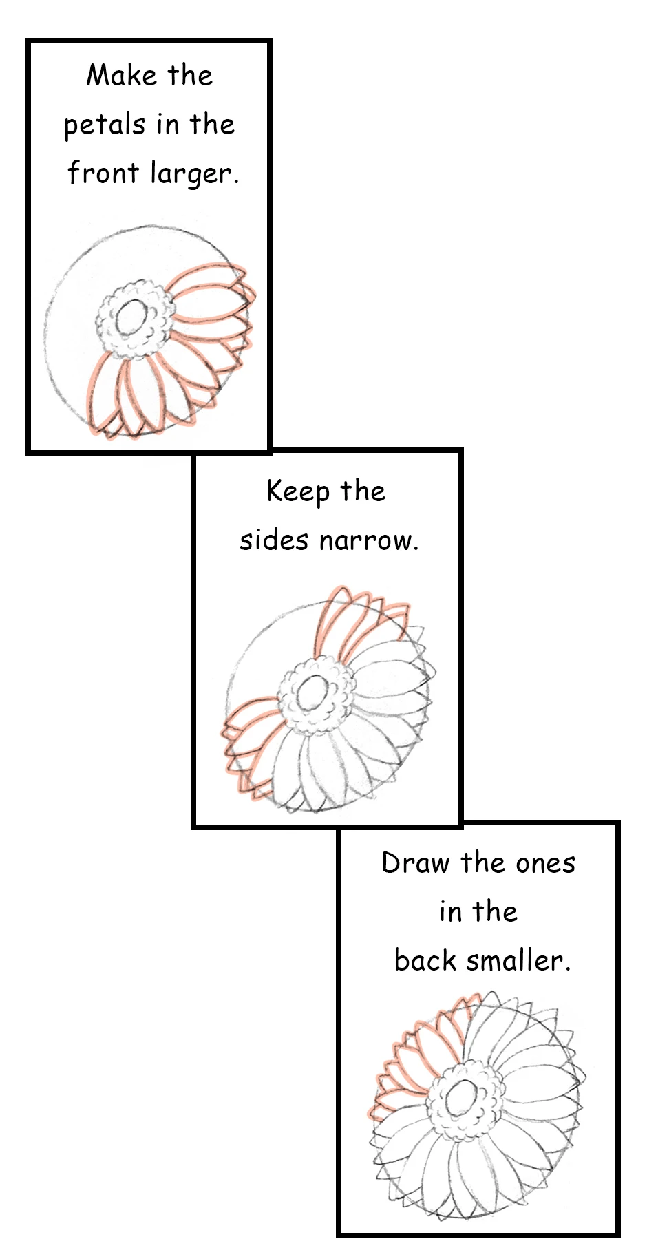 111. ◆Sketching a Gerbera from Every Angle(1/3),第 4 頁
