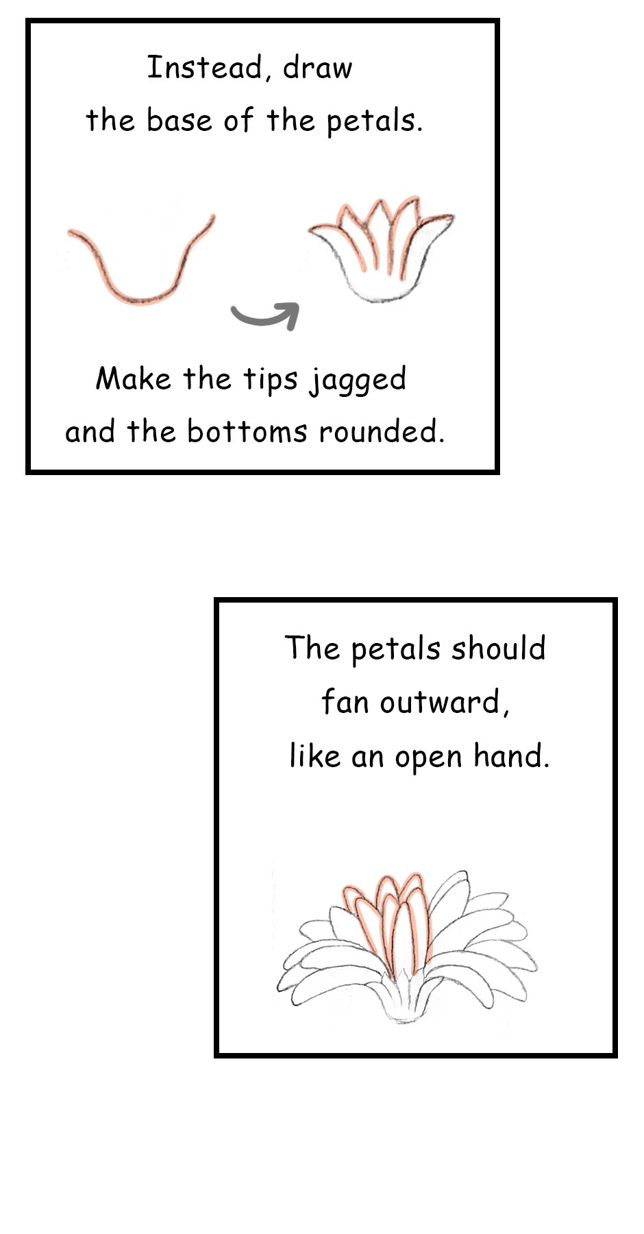 111. ◆Sketching a Gerbera from Every Angle(2/3)，第 2 頁