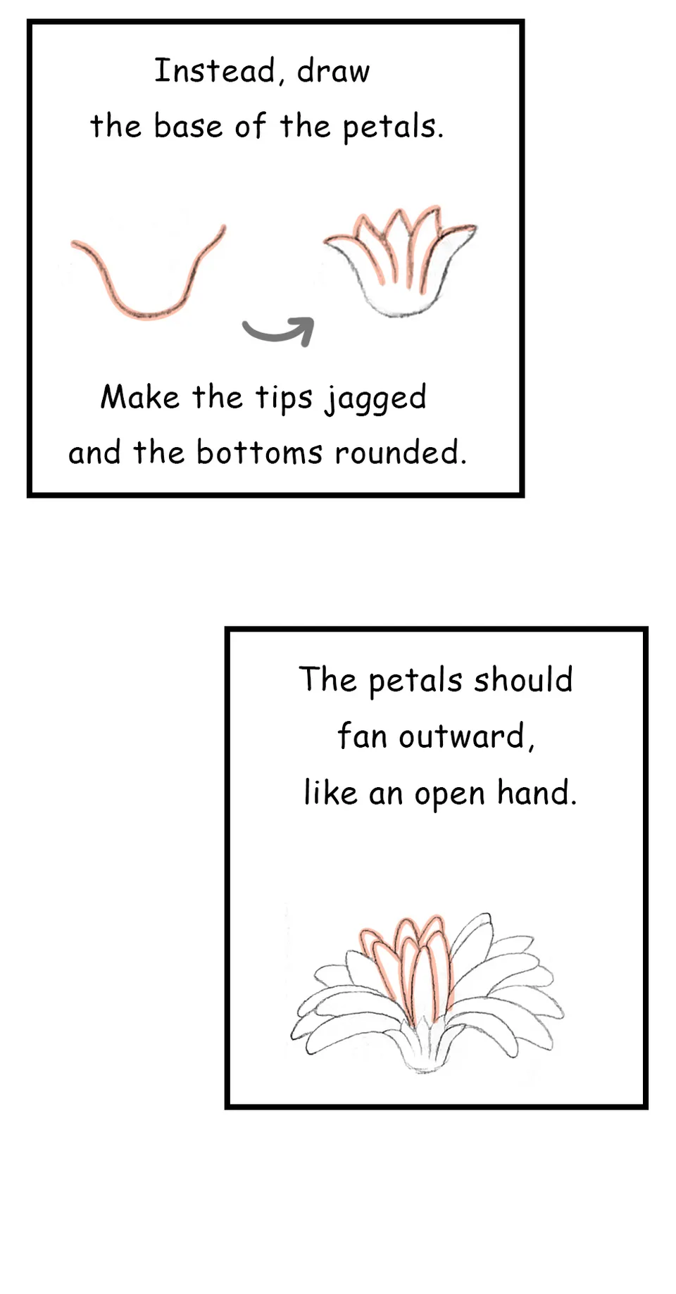 111. ◆Sketching a Gerbera from Every Angle(2/3), page 2