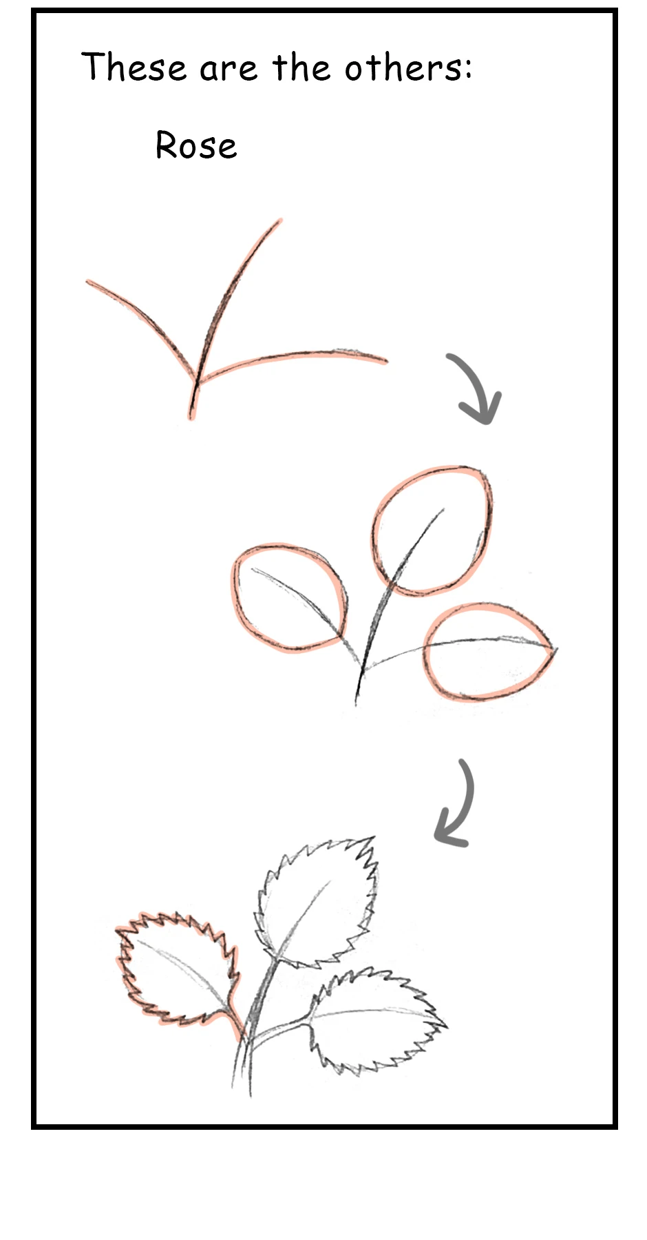 115. ◆Sketching Leaves，第 3 頁