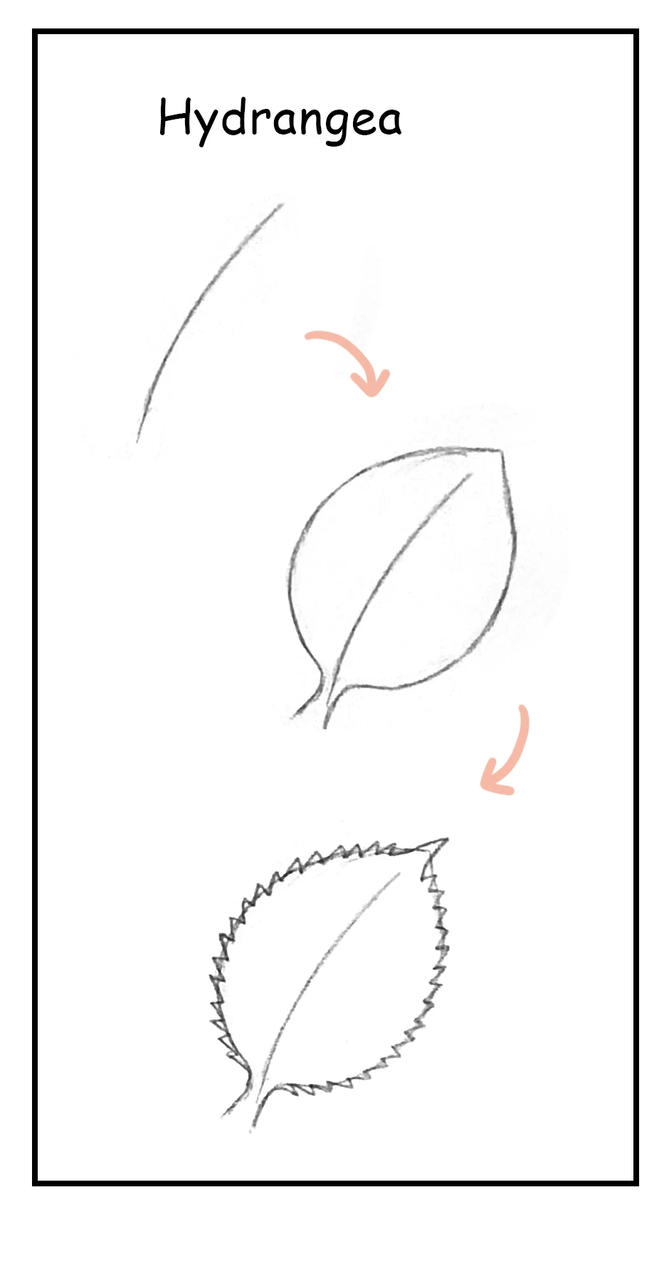 115. ◆Sketching Leaves，第 5 頁