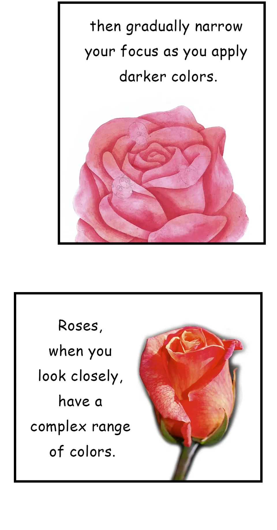 122. ◆Painting Roses in Watercolor, página 2