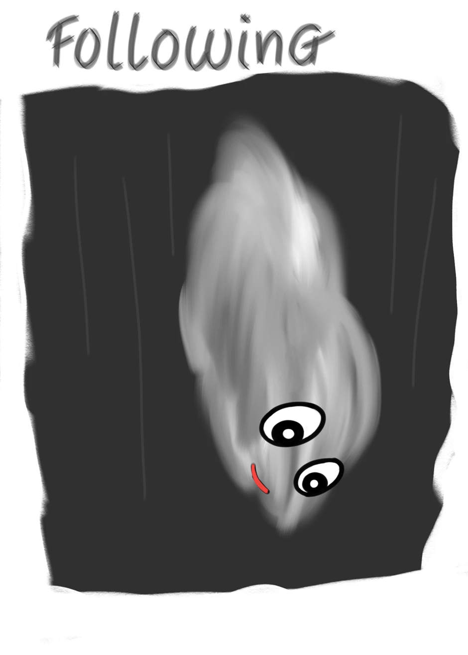 Falling by following, página 2