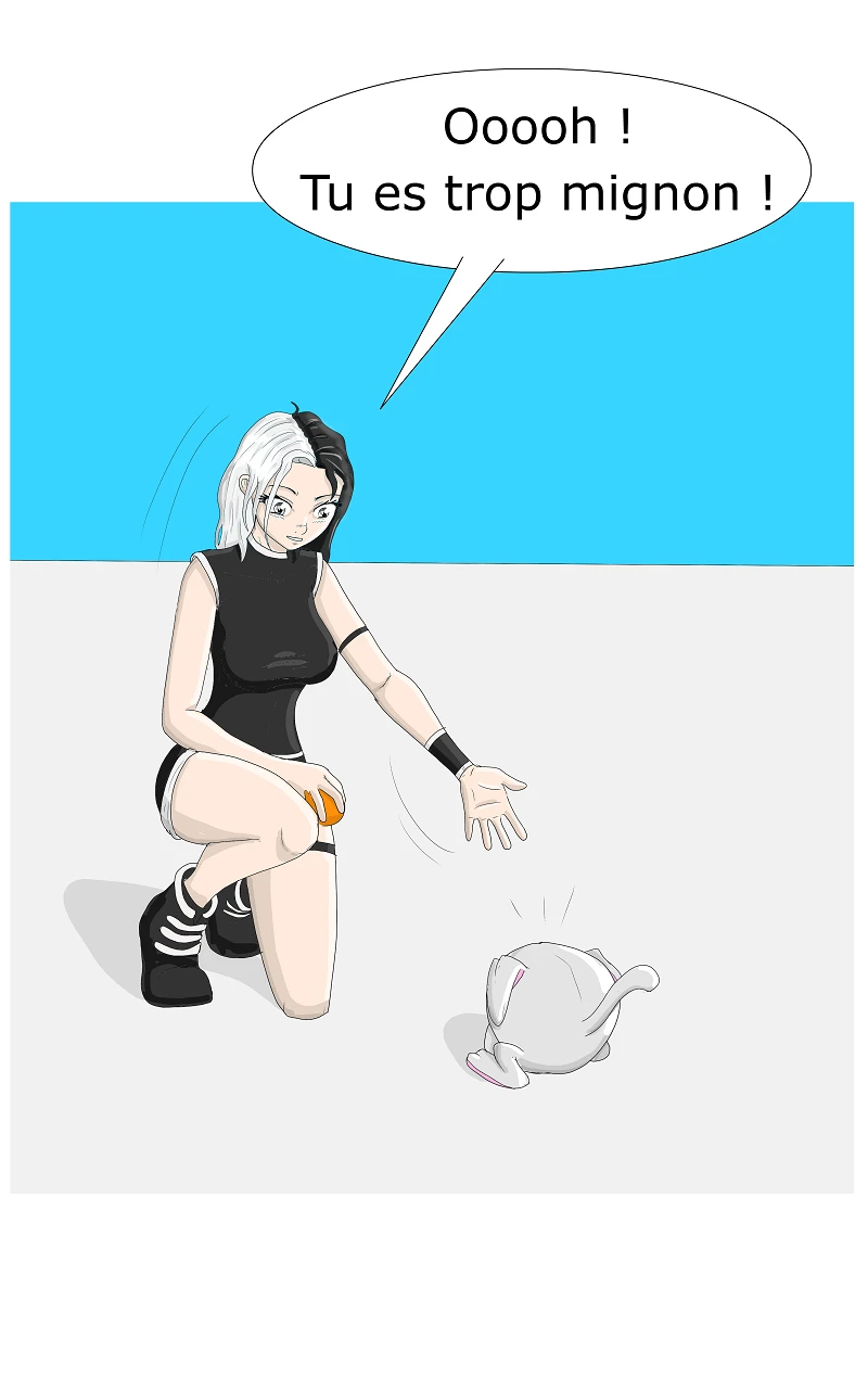 Chapitre 1, halaman 16