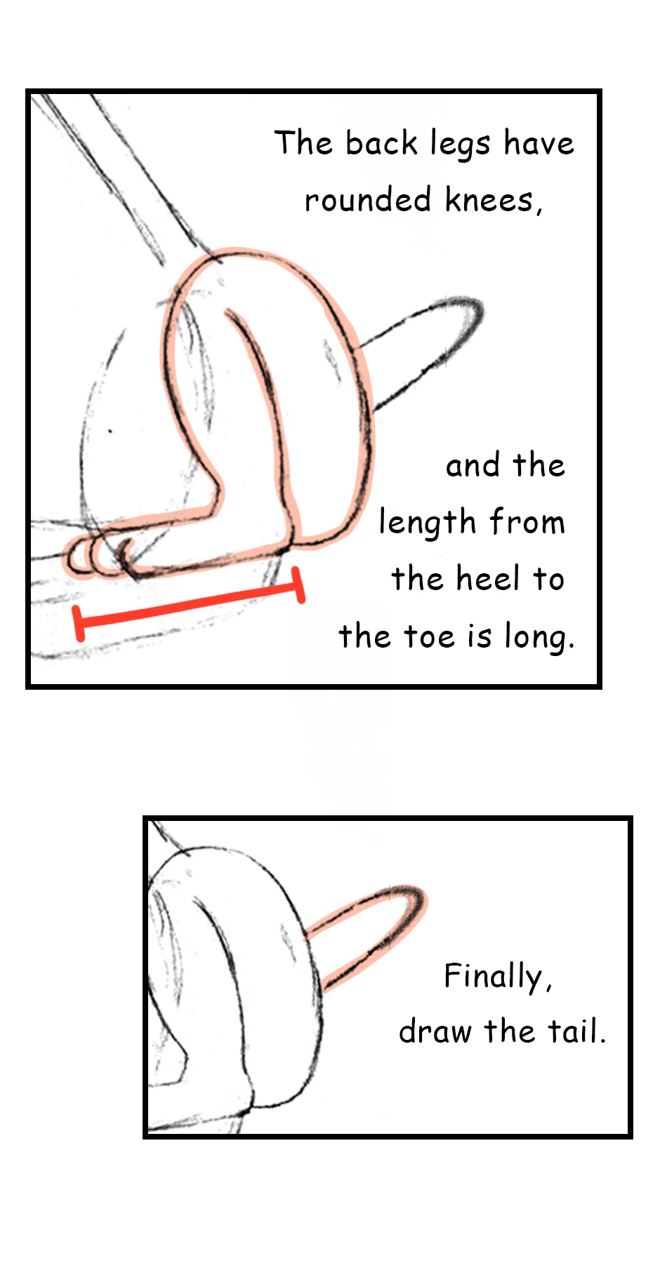 138. ◆Sketching a Cheetah,第 10 頁