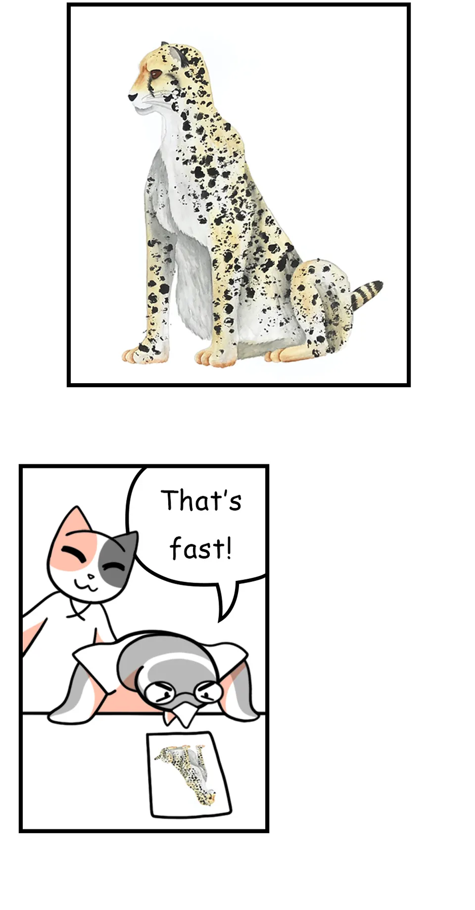 139. ◆Painting Cheetah Patterns, page 5