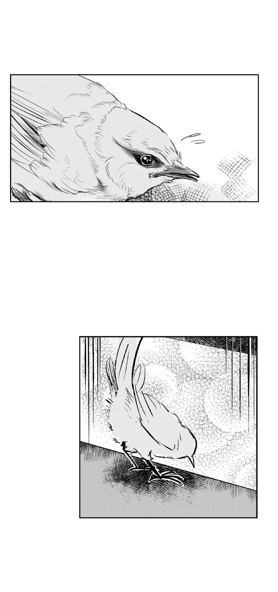 0.3 Horizon, page 6