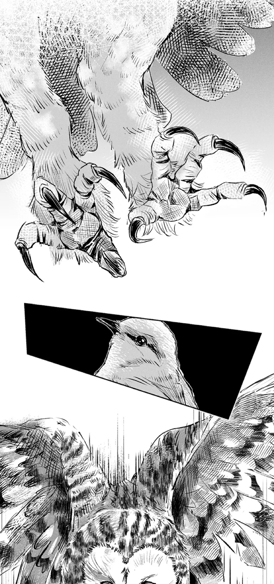 0.4 Horizon, page 5