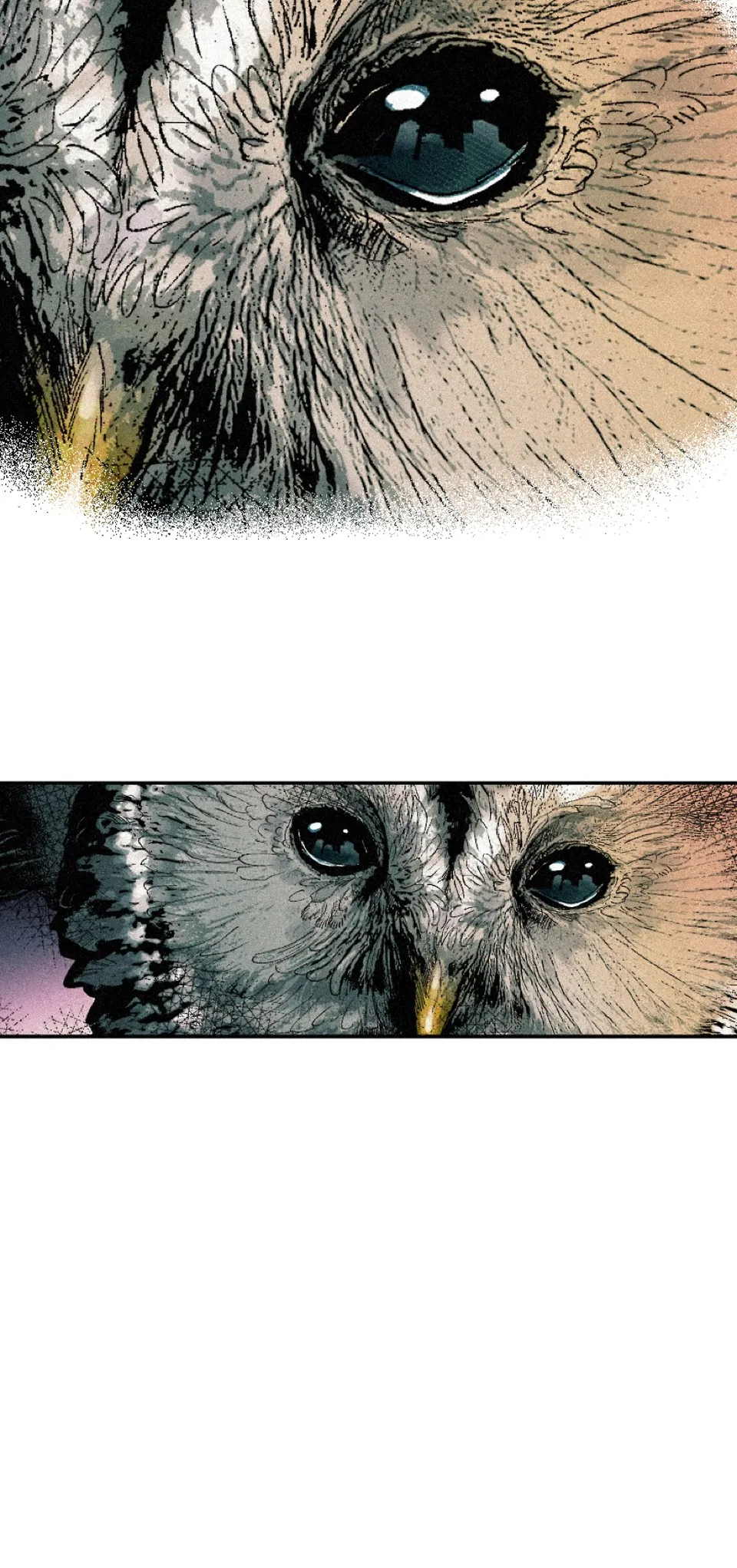 0.1 Horizon, page 3