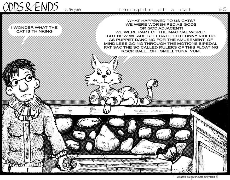 5. THOUGHTS OF A CAT, página 1